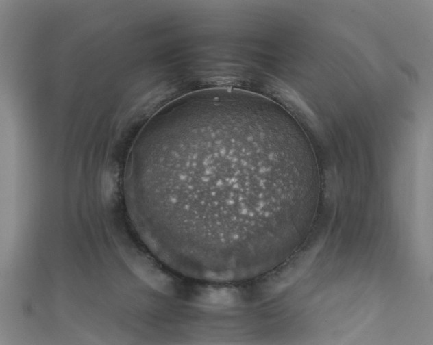 X0000111350073200907171151