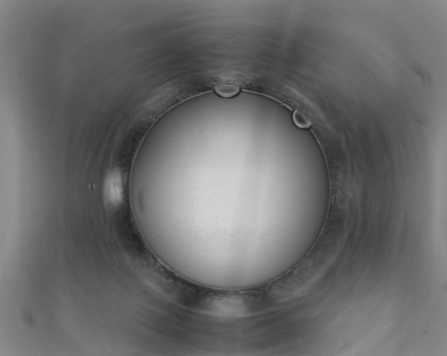 X0000111350075200907171151