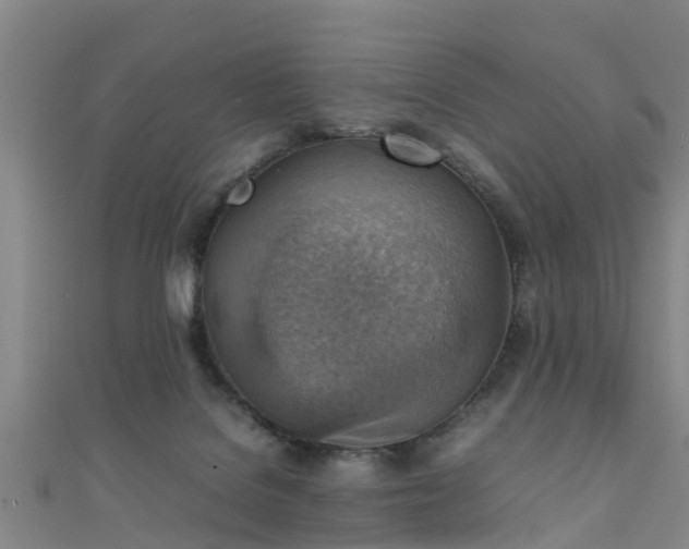 X0000111350076200907171151