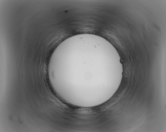 X0000111350077200907171151