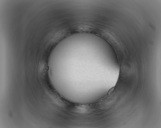 X0000111350079200907171151