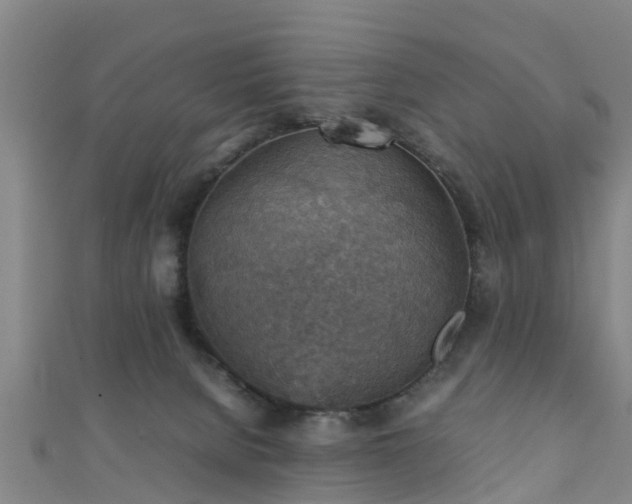 X0000111350080200907171151