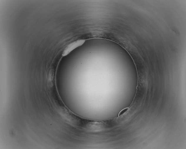 X0000111350082200907171151