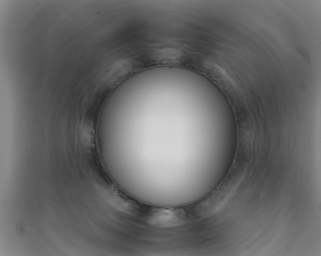 X0000111350083200907171151