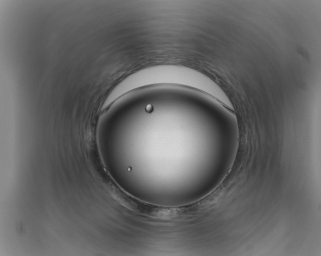 X0000111350084200907171151