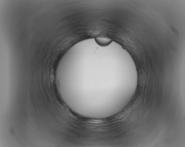 X0000111350085200907171151