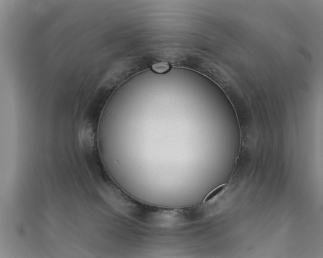 X0000111350086200907171151