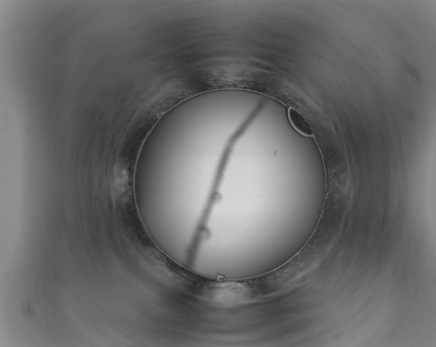 X0000111350087200907171151