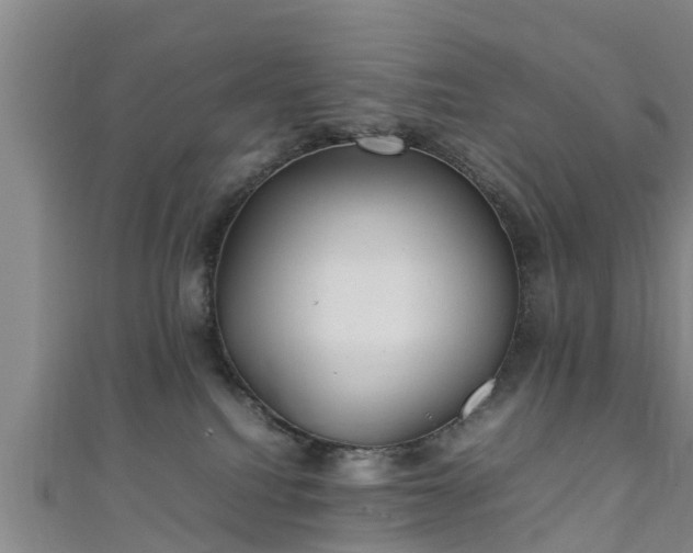 X0000111350088200907171151