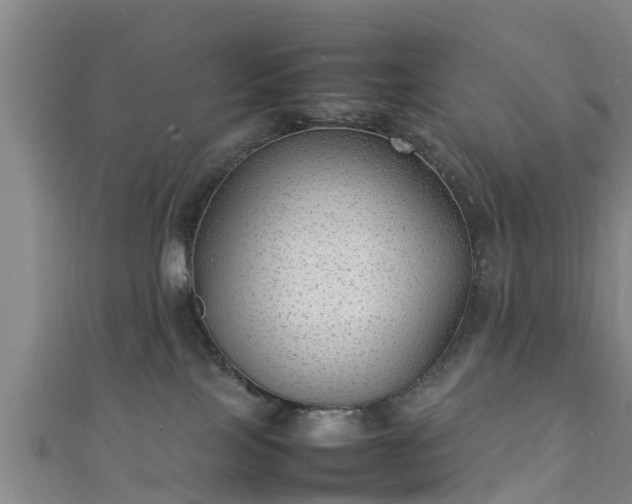 X0000111350089200907171152