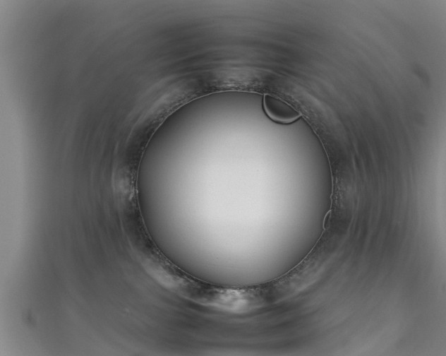 X0000111350091200907171152