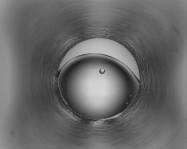 X0000111350092200907171152