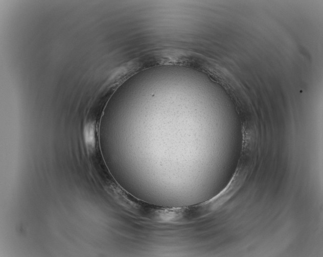 X0000111350094200907171152