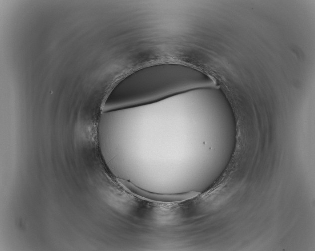 X0000111350096200907171152