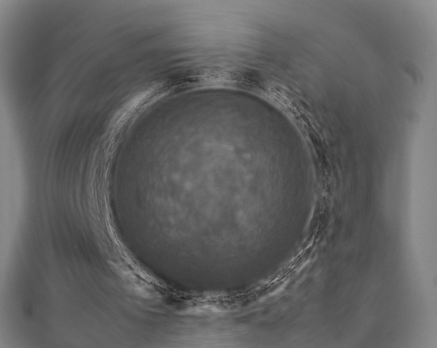 X0000111350097200907171151