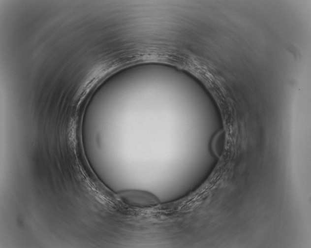 X0000111350098200907171151