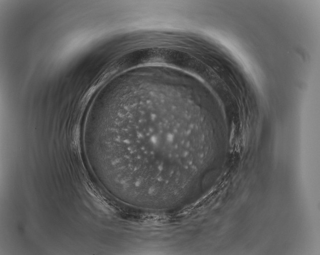 X0000111350099200907171151