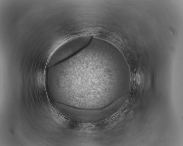 X0000111350100200907171151