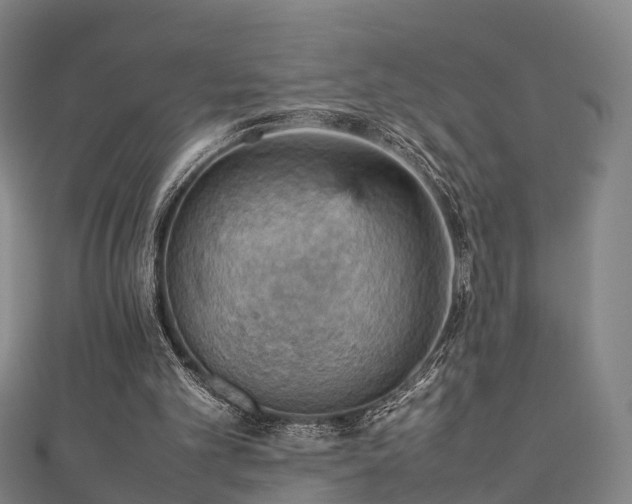 X0000111350101200907171151