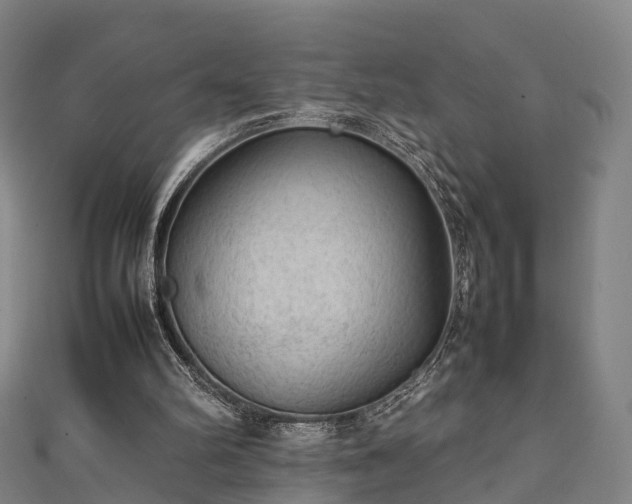 X0000111350102200907171151