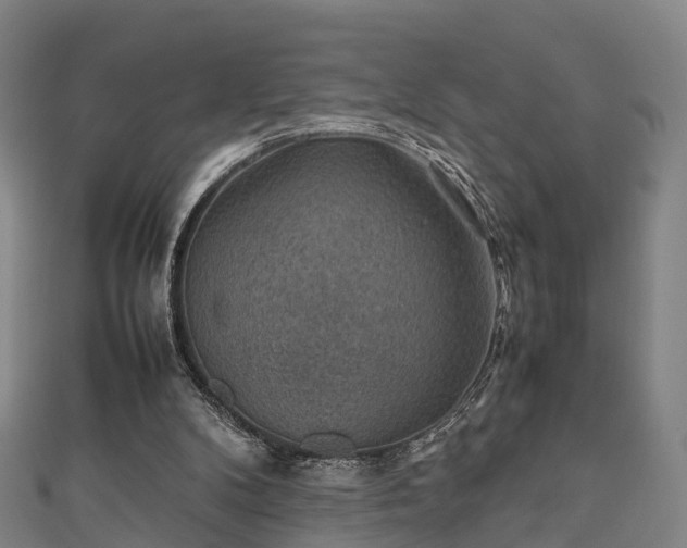 X0000111350104200907171151