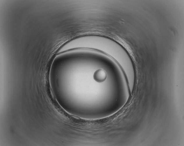 X0000111350105200907171151