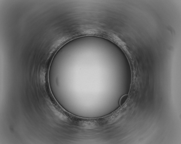 X0000111350106200907171151