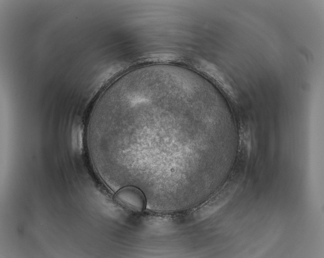 X0000111350110200907171151