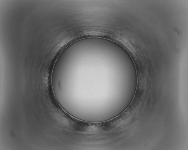 X0000111350111200907171151