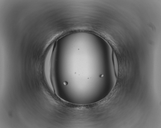 X0000111350112200907171151