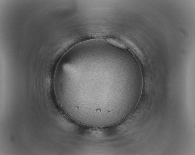 X0000111350113200907171151