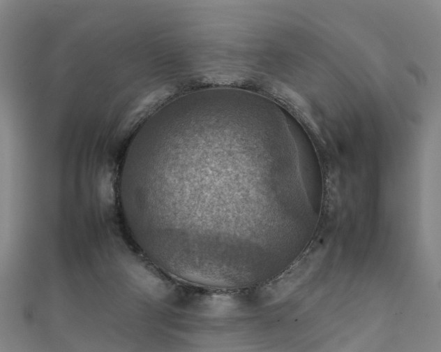 X0000111350114200907171151