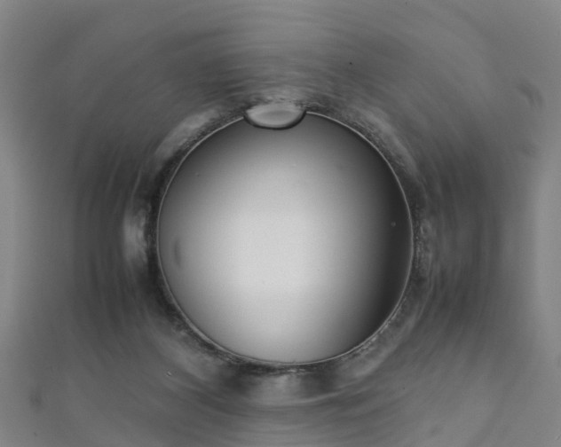 X0000111350116200907171151