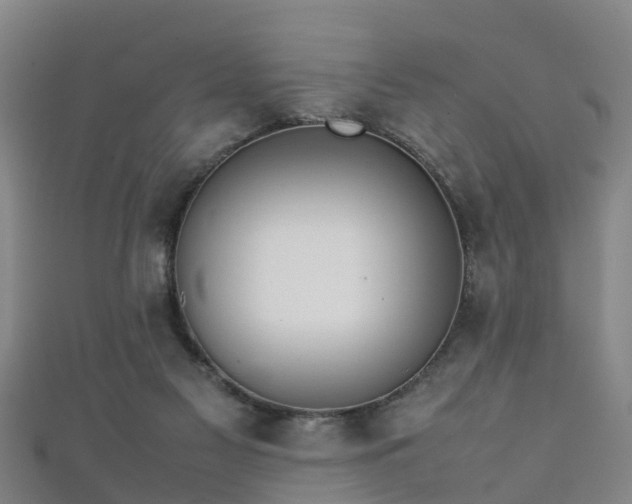 X0000111350117200907171151