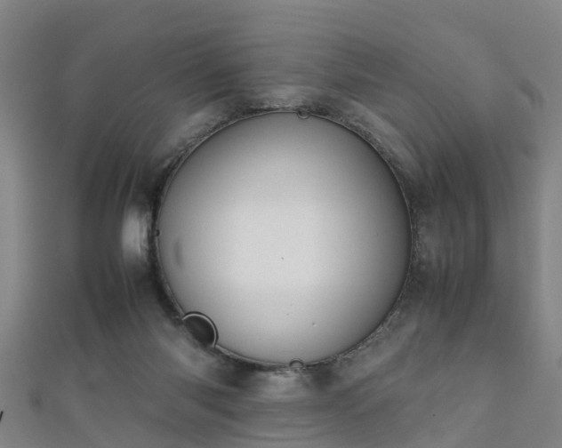 X0000111350118200907171151