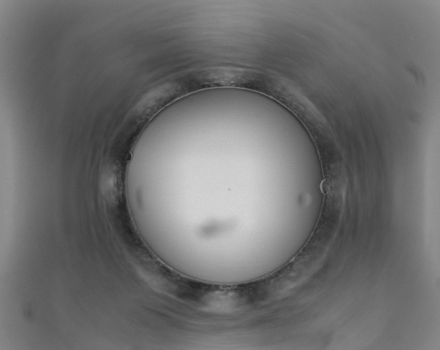 X0000111350119200907171151