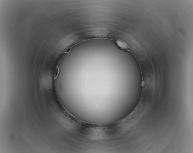 X0000111350120200907171151