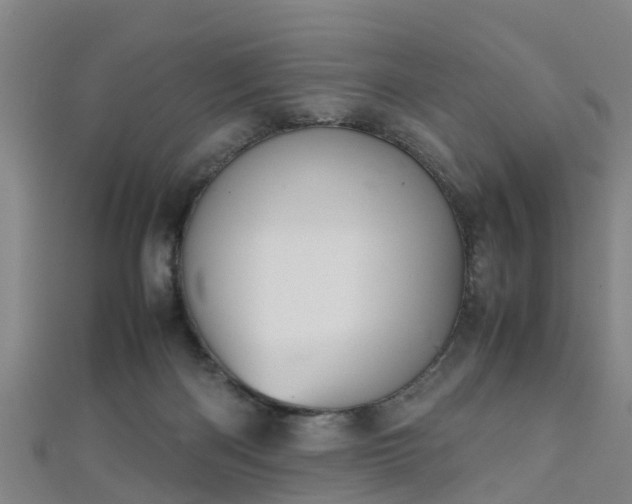 X0000111350122200907171151