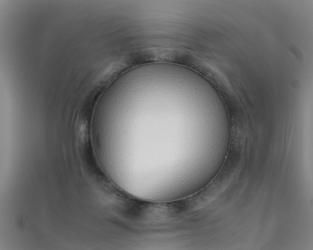 X0000111350123200907171151