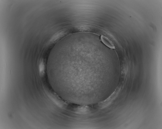 X0000111350124200907171151