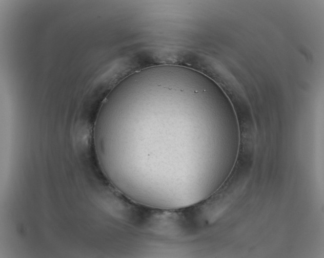 X0000111350125200907171151