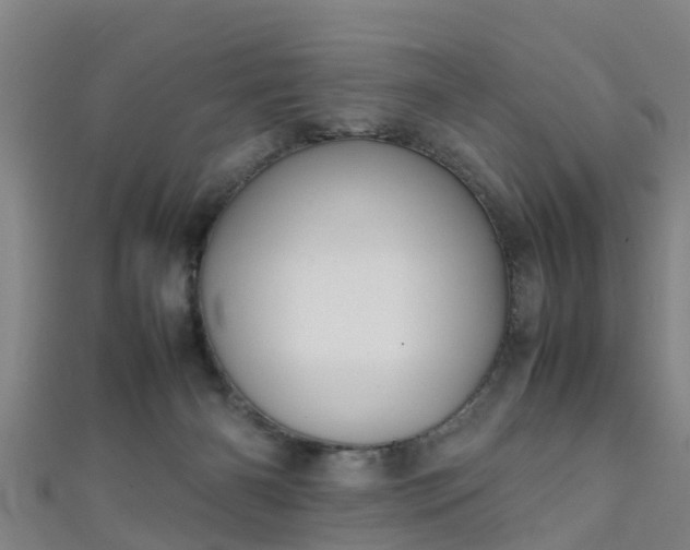 X0000111350126200907171151