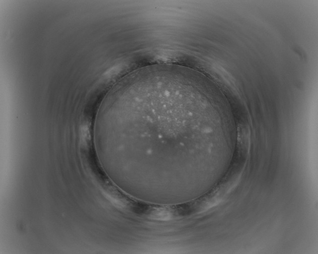 X0000111350127200907171151