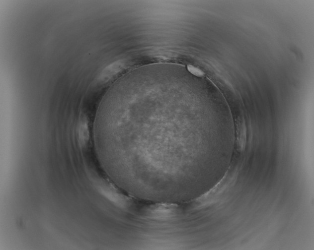 X0000111350128200907171151