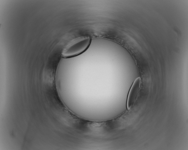 X0000111350129200907171151