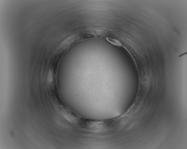 X0000111350132200907171151