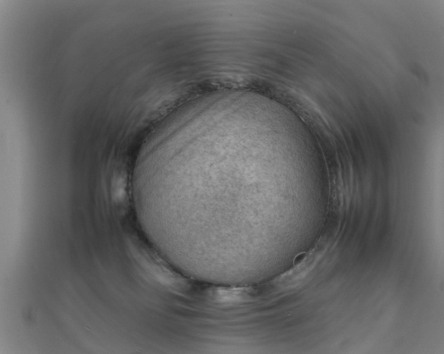 X0000111350134200907171151