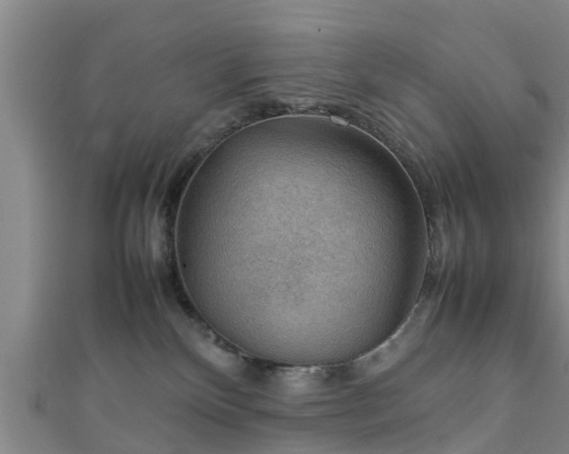 X0000111350136200907171150