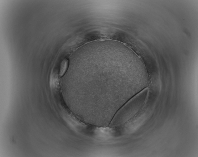 X0000111350137200907171150