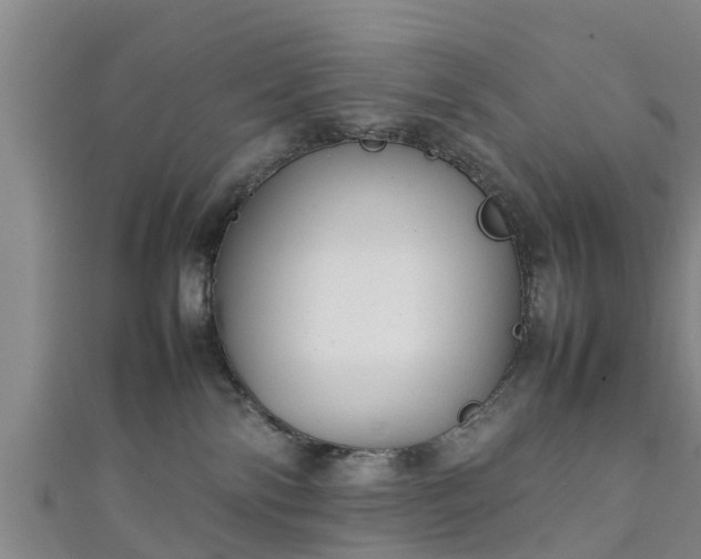 X0000111350138200907171150